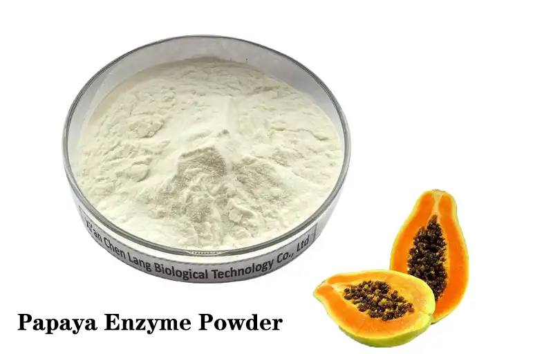 Papaya Enzyme Powder.jpg